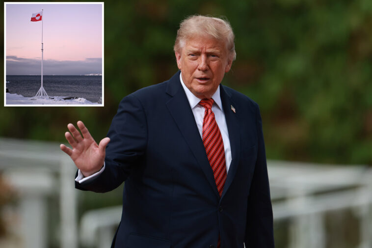 trump’s-greenland-deal-follows-us-firm’s-purchase-of-rare-earth-metals-mine-there