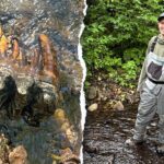 strange-rock-catches-scientist’s-eye-during-creek-search,-leading-to-rare-discovery
