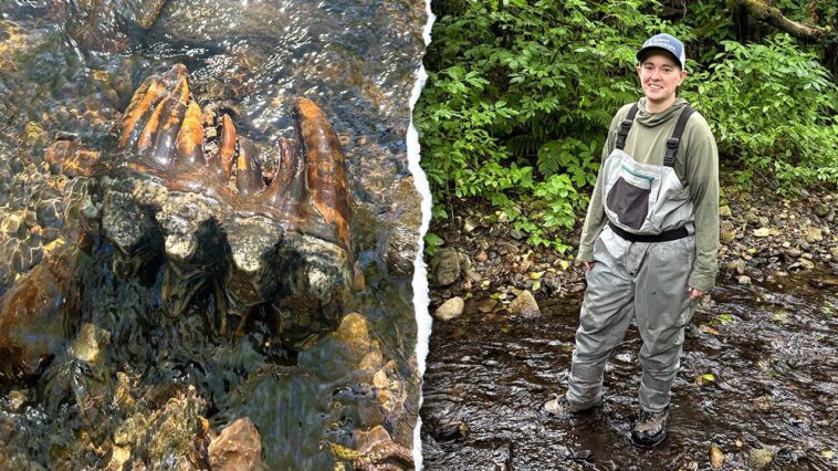 strange-rock-catches-scientist’s-eye-during-creek-search,-leading-to-rare-discovery
