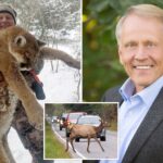 idaho-surgeon-dies-in-freak-car-crash-with-elk