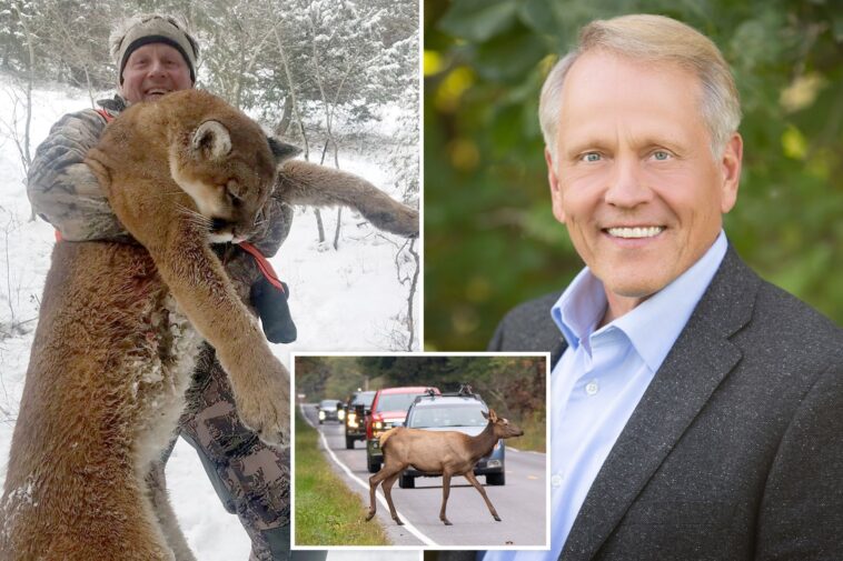 idaho-surgeon-dies-in-freak-car-crash-with-elk