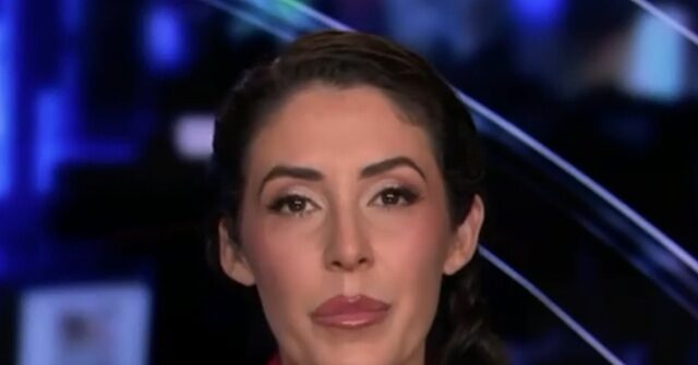 gop-rep.-luna:-dsa-congressional-hopeful-claire-valdez-pledge-to-‘fight-for-mexico’-is-‘embarrassing’