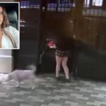 terrifying-moment-homeless-man-chases-california-college-student-into-her-off-campus-home