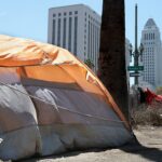 la-homelessness-fraud-cases-expose-deeper-problem-than-stolen-millions,-oversight-hawk-warns