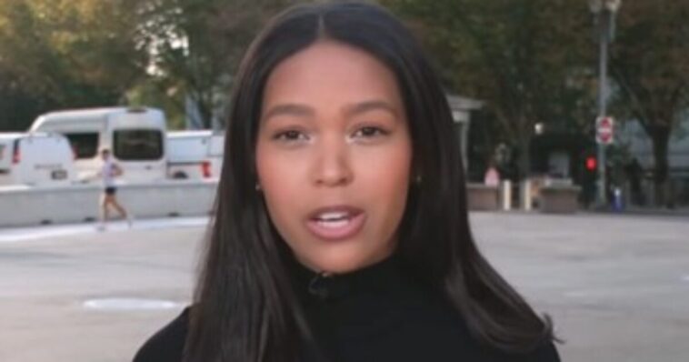 surprised-msnow-‘reporter’-goes-viral-as-she-reveals-how-she-got-barred-from-entering-the-white-house-(video)