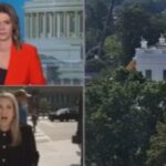watch:-american-patriot-drops-massive-truth-bomb-live-on-cnn-as-‘reporter’-whimpers-about-getting-blocked-from-entering-the-white-house