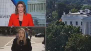 watch:-american-patriot-drops-massive-truth-bomb-live-on-cnn-as-‘reporter’-whimpers-about-getting-blocked-from-entering-the-white-house