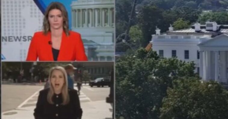 watch:-american-patriot-drops-massive-truth-bomb-live-on-cnn-as-‘reporter’-whimpers-about-getting-blocked-from-entering-the-white-house