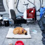 shocking-reports-of-dog-torture-emerge-from-major-la-homeless-encampment