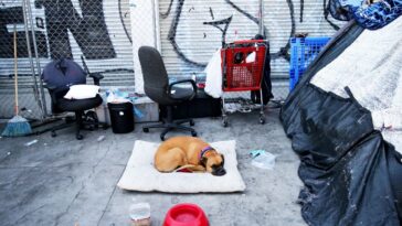 shocking-reports-of-dog-torture-emerge-from-major-la-homeless-encampment