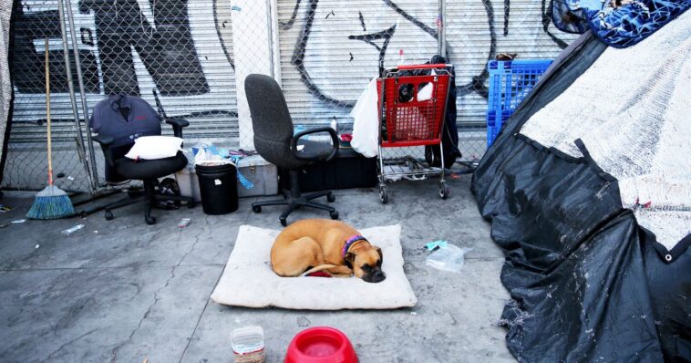 shocking-reports-of-dog-torture-emerge-from-major-la-homeless-encampment