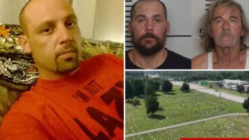 man-sleeping-in-cardboard-box-at-louisville-cemetery-crushed-to-death-in-hit-and-run