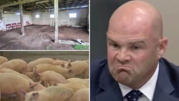 california-neighbors-revolt-over-proposed-slaughterhouse-they-fear-will-bring-blood,-noise-and-stench-to-their-doorstep