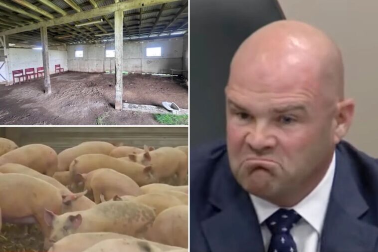 california-neighbors-revolt-over-proposed-slaughterhouse-they-fear-will-bring-blood,-noise-and-stench-to-their-doorstep