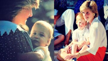 diana’s-brother-earl-spencer-accuses-british-royal-family-of-‘lack-of-care’-for-harry,-‘allowing-him-to-spin-out-of-control’,-as-his-book-starts-to-look-like-a-collection-of-grievances