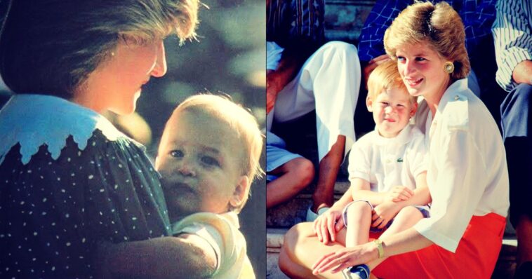 diana’s-brother-earl-spencer-accuses-british-royal-family-of-‘lack-of-care’-for-harry,-‘allowing-him-to-spin-out-of-control’,-as-his-book-starts-to-look-like-a-collection-of-grievances