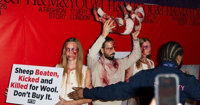 peta-protesters-crash-h&m-runway-show-in-london