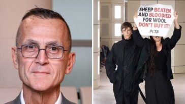fashion-exec-resigns-days-after-restraining-peta-protesters-at-new-york-runway-show