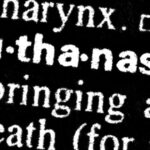 ‘handled-well’:-dutch-officials-legally-euthanize-toddler-in-first-ever-killing-of-new-child-euthanasia-law