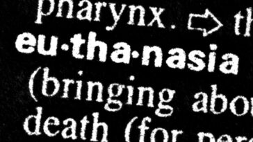 ‘handled-well’:-dutch-officials-legally-euthanize-toddler-in-first-ever-killing-of-new-child-euthanasia-law