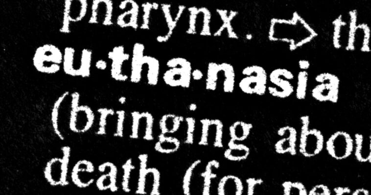 ‘handled-well’:-dutch-officials-legally-euthanize-toddler-in-first-ever-killing-of-new-child-euthanasia-law
