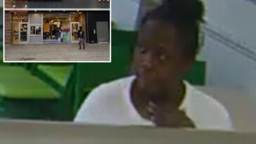 crazed-woman-who-tried-to-kidnap-boy,-4,-from-grandma,-off-duty-cop-mom-on-nyc-street-arrested