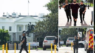 deranged-man-allegedly-drives-on-sidewalk-near-white-house,-demands-to-speak-to-trump