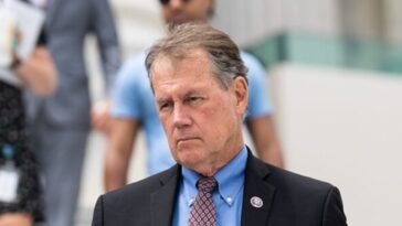 dem-rep.-case:-we-have-to-bring-in-dsa-and-‘make-that-accommodation’-or-be-minority