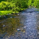 data-center-dumps-tanker-truck-sized-load-of-diesel-fuel-into-creek