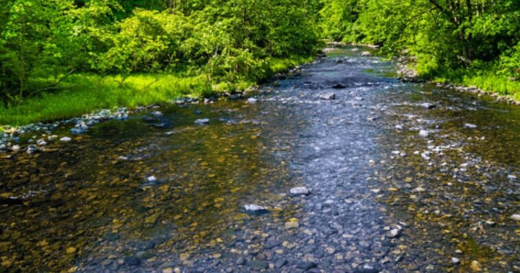 data-center-dumps-tanker-truck-sized-load-of-diesel-fuel-into-creek