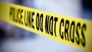 state-trooper-investigating-open-school-door-comes-face-to-face-with-bear-in-fatal-encounter