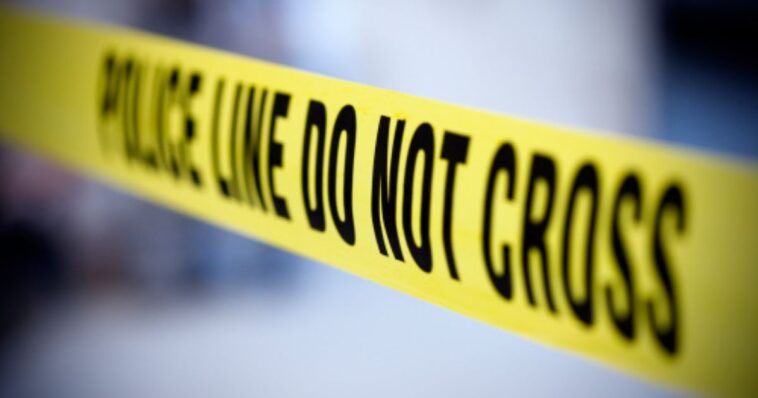state-trooper-investigating-open-school-door-comes-face-to-face-with-bear-in-fatal-encounter