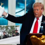 trump-says-his-triumphal-arch-in-washington-will-be-used-as-‘top-grade’-weapons-base-with-drones-and-snipers