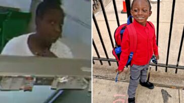 crazed-nyc-woman-who-tried-kidnapping-4-year-old-off-street-has-disturbing,-violent-past:-authorities