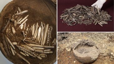 ‘strange-sound’-leads-homeowner-to-unearth-massive-viking-silver-hoard-while-digging-for-new-patio