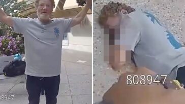 palo-alto-mall-menace-is-zapped-with-taser-before-face-planting-and-breaking-his-neck