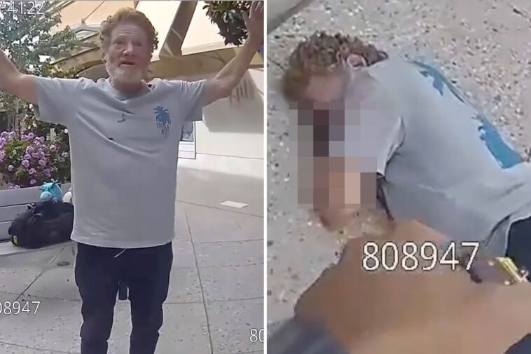 palo-alto-mall-menace-is-zapped-with-taser-before-face-planting-and-breaking-his-neck