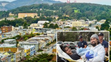 san-francisco-woman-gives-birth-on-the-road-after-getting-stuck-in-horrific-city-traffic