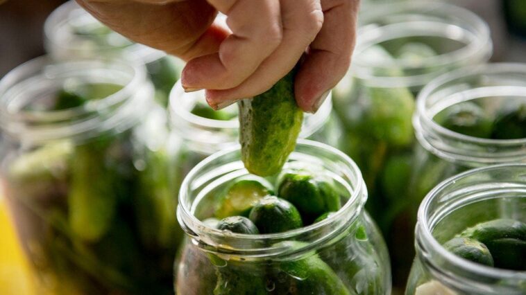 america’s-pickle-obsession-explodes-as-flavor-spreads-from-chips-to-pizza,-smoothies-and-toothpaste
