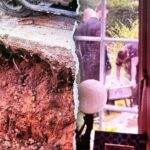 shocking-discovery-of-ancient-bones-turns-couple’s-kitchen-renovation-into-‘crime-scene’