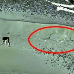 tourists-seeking-‘dramatic’-photo-on-isolated-beach-trapped-by-incoming-tide