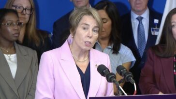 far-left-ma-gov.-maura-healey-wants-government-healthcare-workers-to-barge-into-the-homes-of-every-new-baby-in-the-state-“to-make-an-assessment”