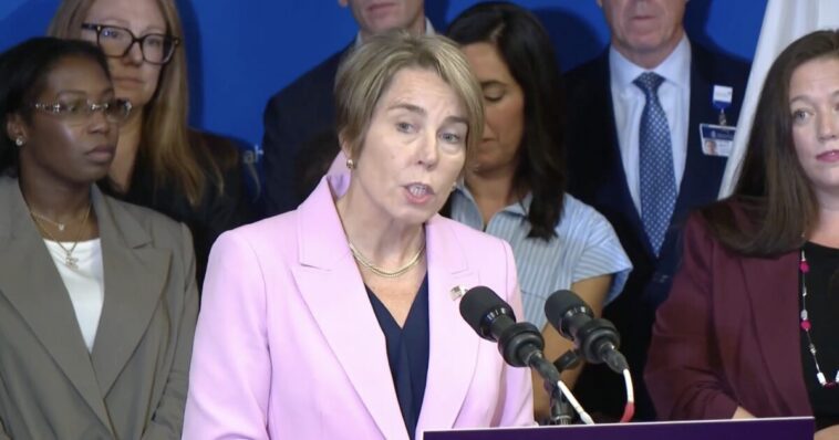 far-left-ma-gov.-maura-healey-wants-government-healthcare-workers-to-barge-into-the-homes-of-every-new-baby-in-the-state-“to-make-an-assessment”
