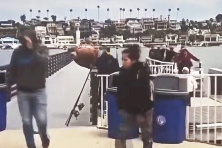 large-group-of-suspected-illegal-migrants-dumped-in-ritzy-california-harbor-before-fleeing-among-mansions