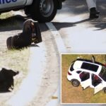 mother-fatally-stabs-her-5-year-old,-wounds-2-other-children-in-‘sickening’-scene:-cops