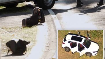 mother-fatally-stabs-her-5-year-old,-wounds-2-other-children-in-‘sickening’-scene:-cops
