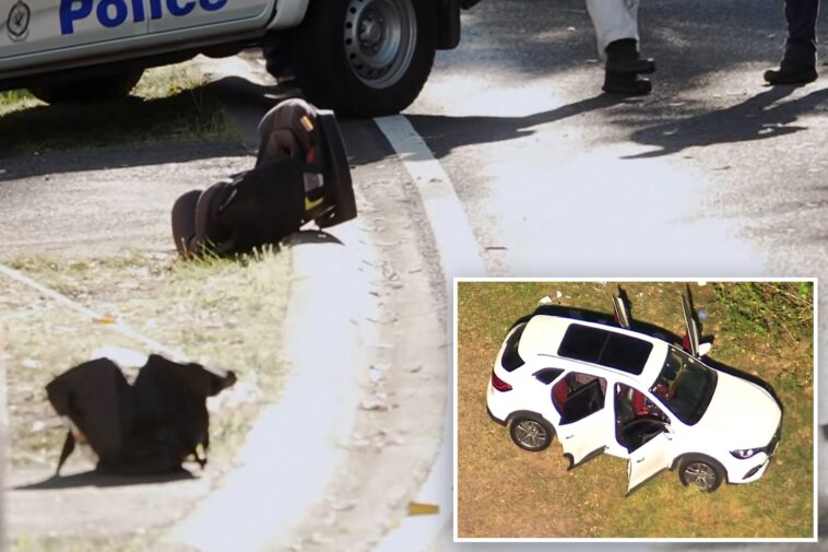 mother-fatally-stabs-her-5-year-old,-wounds-2-other-children-in-‘sickening’-scene:-cops