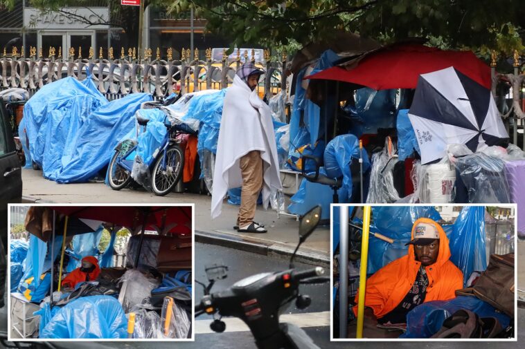 homeless-camp-pops-up-across-rom-nyu-dorm-as-vagrants-brag-street-life-is-‘much-better’