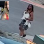 eerie-video-shows-man-chasing-and-abducting-pomeranian-out-of-family’s-driveway