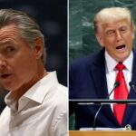 gavin-newsom-jets-to-new-york-for-un-general-assembly,-climate-week